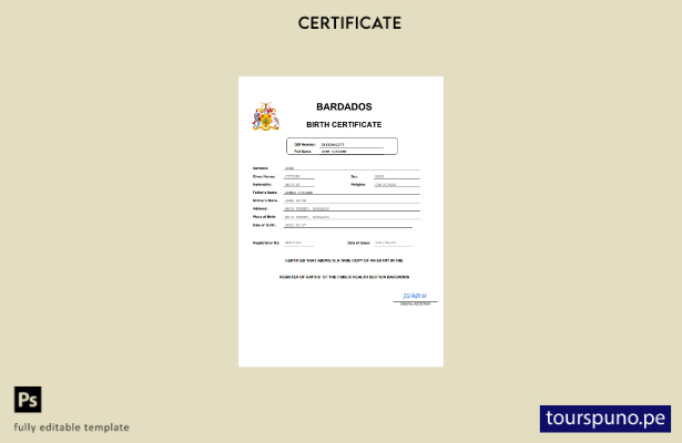Plantilla de certificado de nacimiento de Barbados lista para imprimir en Word y
